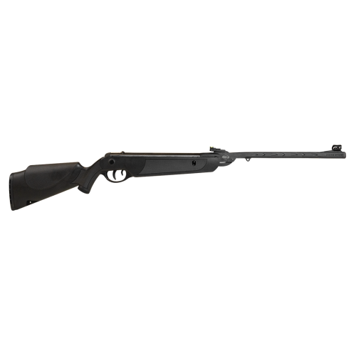 Airgun ROSSI DIONE SPORT 5.5MM